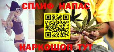 шишки Дубна