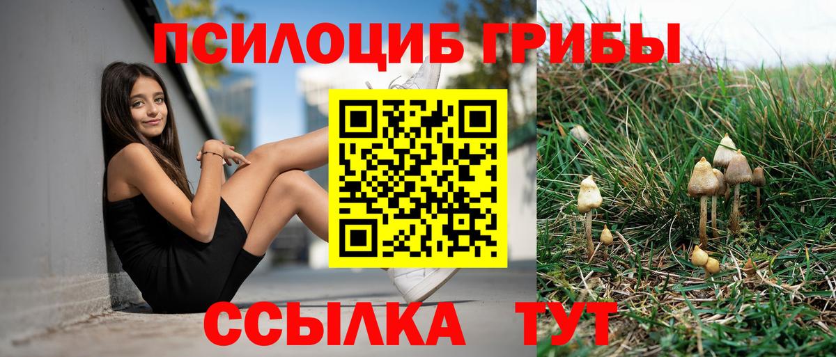 Галлюциногенные грибы MAGIC MUSHROOMS  Галлюциногенные грибы Psilocybe  Вход с VPN  Югорск 
